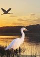 Stylecraft Sunset Marsh I Wall Art-1