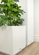Le Present Baby Schefflera Green 20" Faux Botanical-5