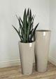 Le Present Lux Moderna Greige 36" Planter-3