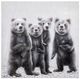 YHD Beary Cute Wall Art-0
