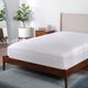 BEDGEAR® Stretchwick® Performance® 5 Sided Twin Mattress Protector-1