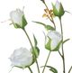 A & B Home White Rose Spray-1