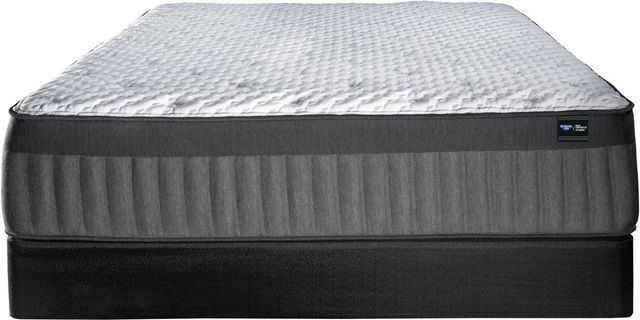 Spring Air® Back Supporter Michelle 16" Hybrid Cushion Firm Tight Top Twin XL Mattress-2