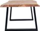 Porter International Designs Manzanita Natural Coffee Table with Trapezoid Base-3