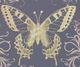 StyleCraft Butterfly Beauty Wall Art-1