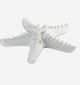 White Starfish Table Decor - Large-0