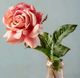 Magnolia Home by Joanna Gaines Peach Dutchess Rose-1