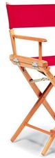 Telescope Casual World Famous Director Chair Balcony Height Arm Chair-1