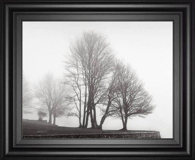 Classy Art Fog and Trees at Dusk by Lsh Wall Art-0