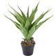 A & B Home Green Artificial Yucca Plant with Cement Pot-1