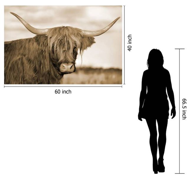Classy Art Highland Cow 1 Wall Art-2