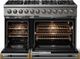 Viking® 5 Series 48" Stainless Steel Pro Style Dual Fuel (NG) Range with Brushed Brass Trim-1