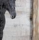 Crestview Collection Hold Your Horses Wall Art-2
