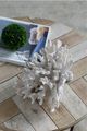 A & B Home White 7" Faux Coral Decorative Object-1