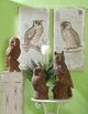 A & B Home Lilith 2-Piece Beige/Brown Owl Print Wall Art Set-1
