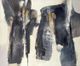 Stylecraft Black/Dark Gray/Gray Onyx Composition Wall Art-1
