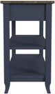 Null Furniture Mystic Navy/Toasted Almond Sofa/Media Console Table-2