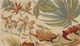 KAS Rugs Sparta Ivory Paradise 5'x8' Rug-1