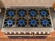 BlueStar Platinum X8 48" Specialty Paint Pro-Style Dual-Oven Gas Range with Custom Plated Trim-2