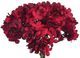A & B Home Red Dried Hydrangea Bundle-1