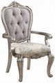 ACME Furniture Ariadne 2-Piece Antique Platinum/Beige Arm Chair Set-0