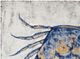 Bassett Mirror Crab 2-Piece Blue Wall Art Set-1