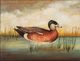 Stylecraft American Wigeon Wall Art-2