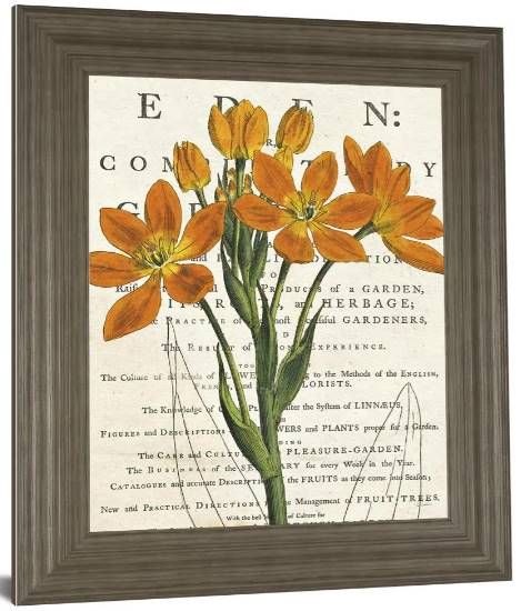Classy Art Eurphoria Botany by Sue Schlabach Wall Art-1