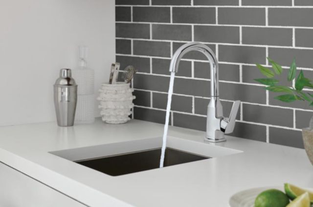 Peerless Ezra® Chrome Single Handle Bar Faucet-2