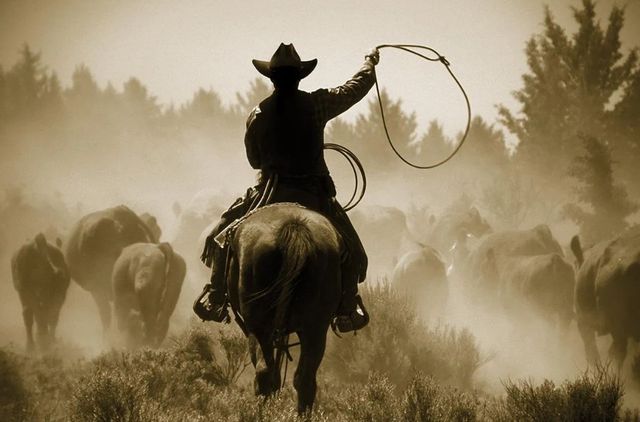 Classy Art Rope and Ride by Danita Delimont Wall Art-0