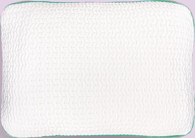 BEDGEAR® Balance Performance® 2.0 Firm Standard Pillow-1