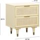 TOV Furniture Sierra Buttermilk 22" 2-Drawer Nightstand-2