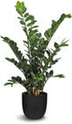 Le Present Zamioculcas Green 35.5" Faux Botanical Cylindrica-0