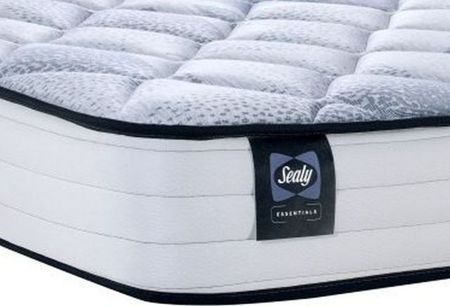 Grand matelas de 8 po en mousse mi-ferme à plateau régulier Alfie Essentials de Sealy®-1