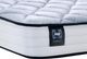 Sealy® Essentials Alfie 8" Foam Medium Tight Top Queen Mattress-1