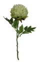 A & B Home Green 18" Faux Peony-0