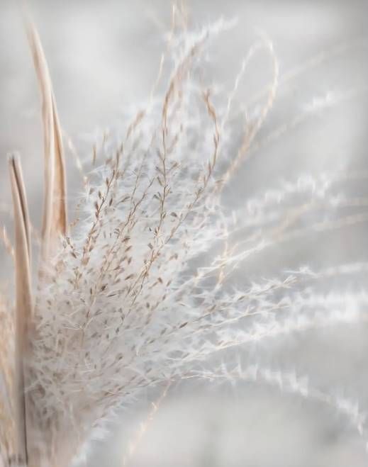 Classy Art Summer Wisps I by Irene Weisz Wall Art-1
