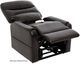 Mega Motion® Trio Piccolo Lexi Chestnut Power Lift Recliner-2