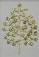 Crestview Collection Sienna 1 Gold/Gray Wall Art-1