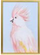 Stylecraft Tamara Day Pink Cockatoo in Soft Pastels Wall Art-0