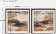Uttermost® Silvia Vassileva 2-Piece Cinnamon Shore Framed Prints Set-3