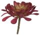 A & B Home Burgundy Faux Dudleya Succulent Stem-0