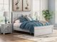 Signature Design by Ashley® Fenderport Whitewash Queen Panel Bed-1