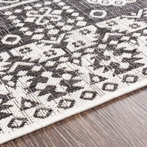 Surya Eagean Charcoal/Off-White 8'x10' Area Rug-3