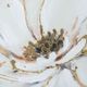 A & B Home Gold/White Wendy Hand Painting Wall Art-2