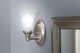 Moen® Eva™ Brushed Nickel One Globe Bath Light-1