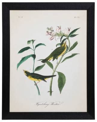 StyleCraft Vintage Warbler III Wall Art-0