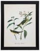 StyleCraft Vintage Warbler III Wall Art-0