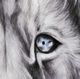 YHD Leo's About Face Wall Art-3