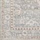 Surya Carlisle Light Sage 4'x6' Area Rug-3